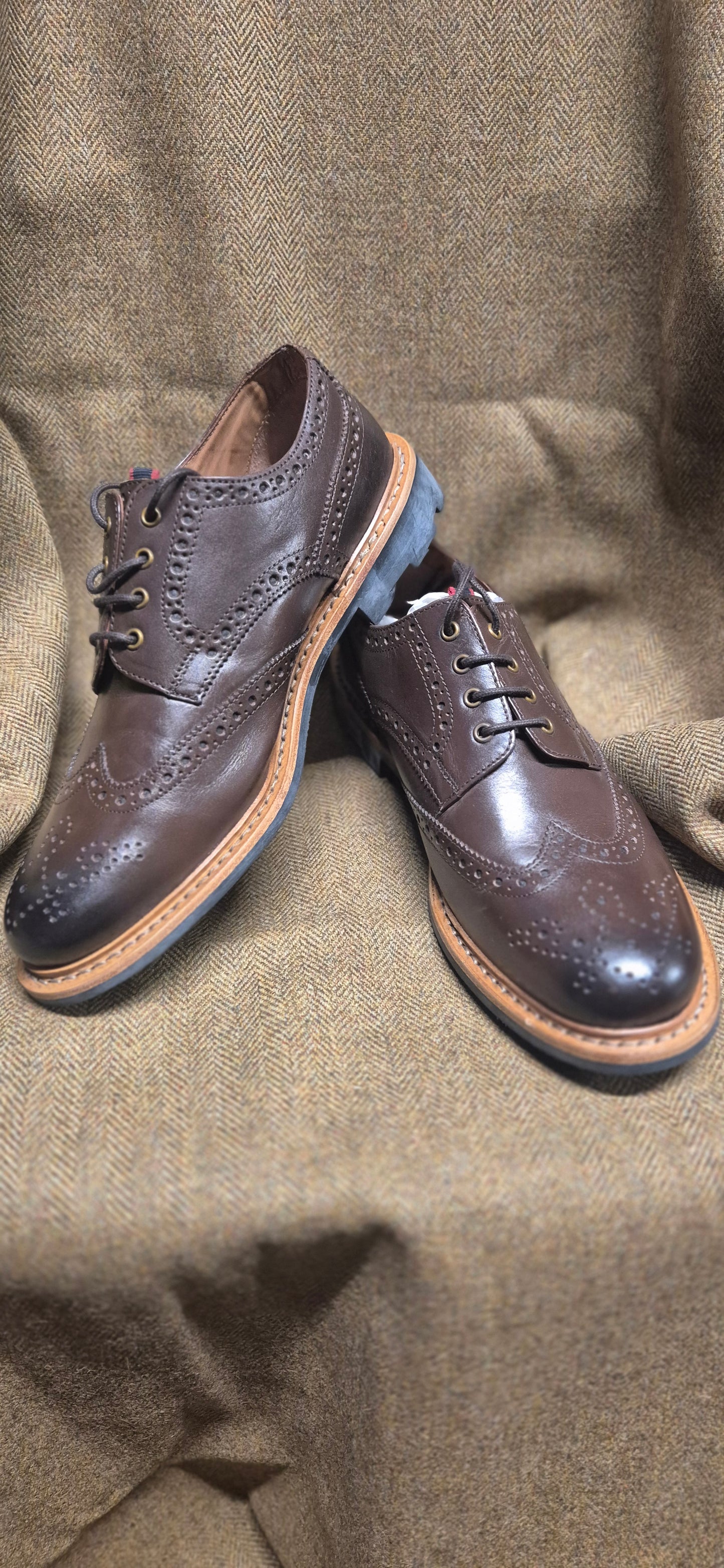 SALE Eaton Brogue (Brown)