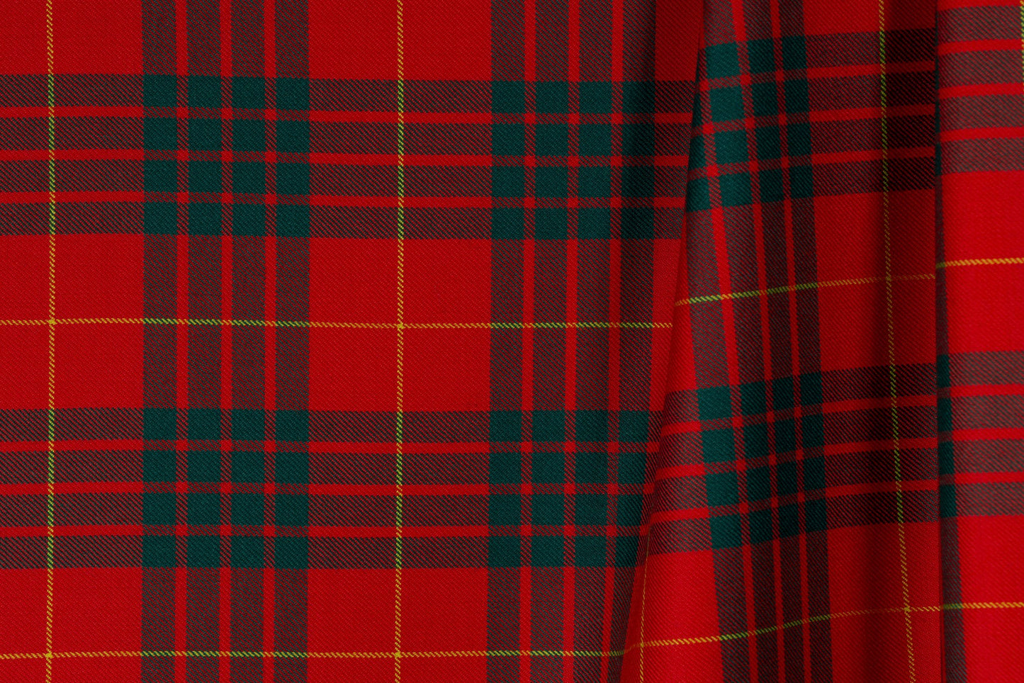 Cameron Modern (House of Edgar)
