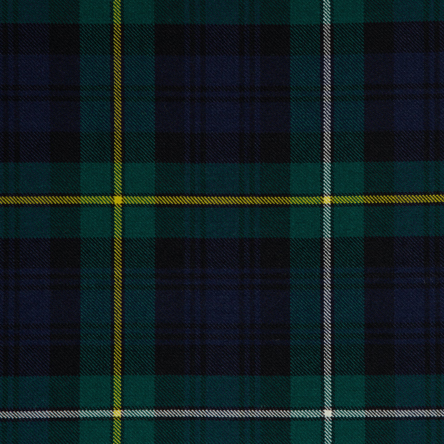 Campbell of Argyll Modern (House of Edgar)