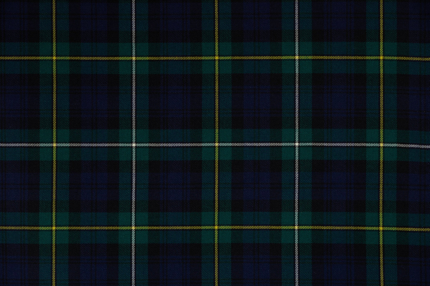 Campbell of Argyll Modern (House of Edgar)