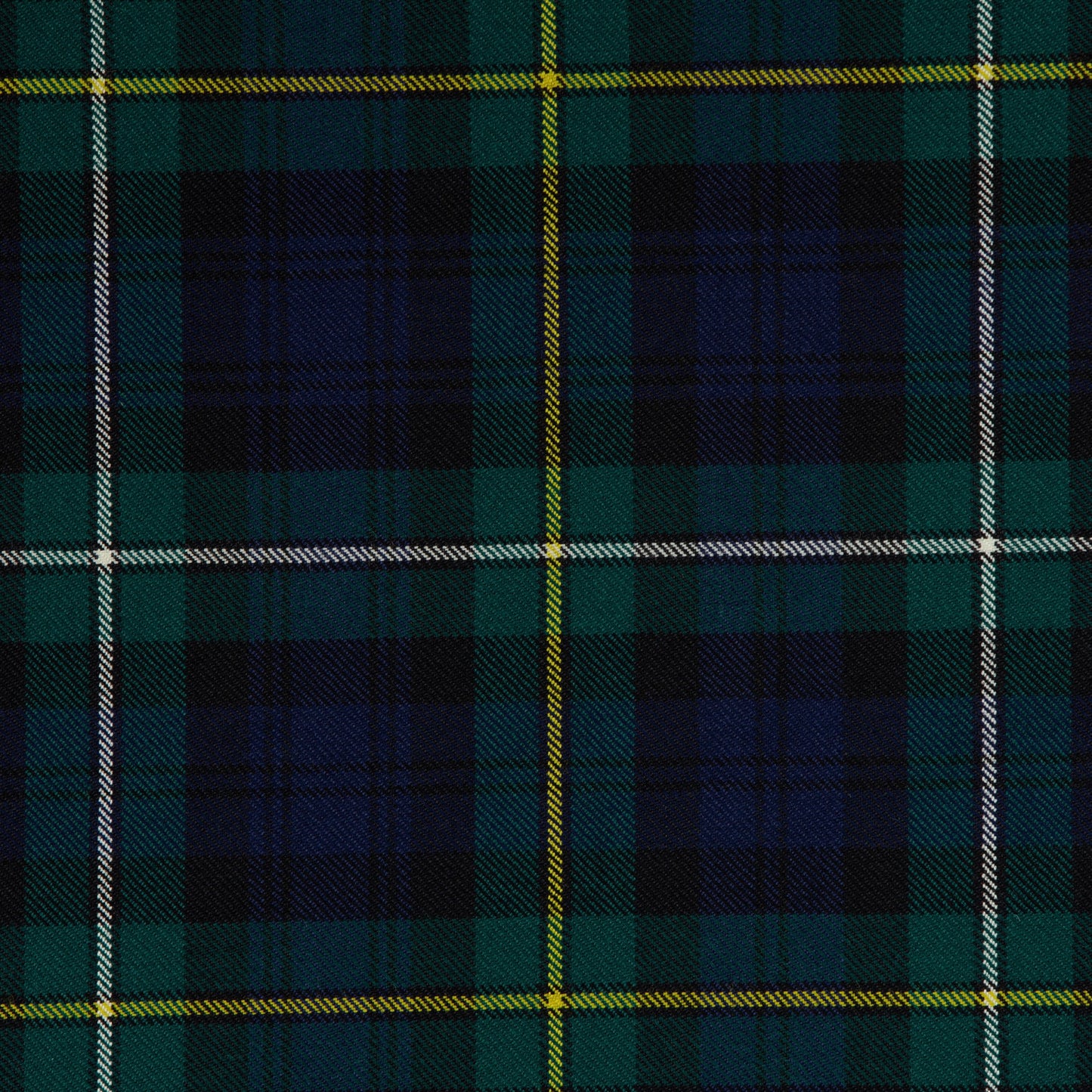Campbell of Argyll Modern (House of Edgar)