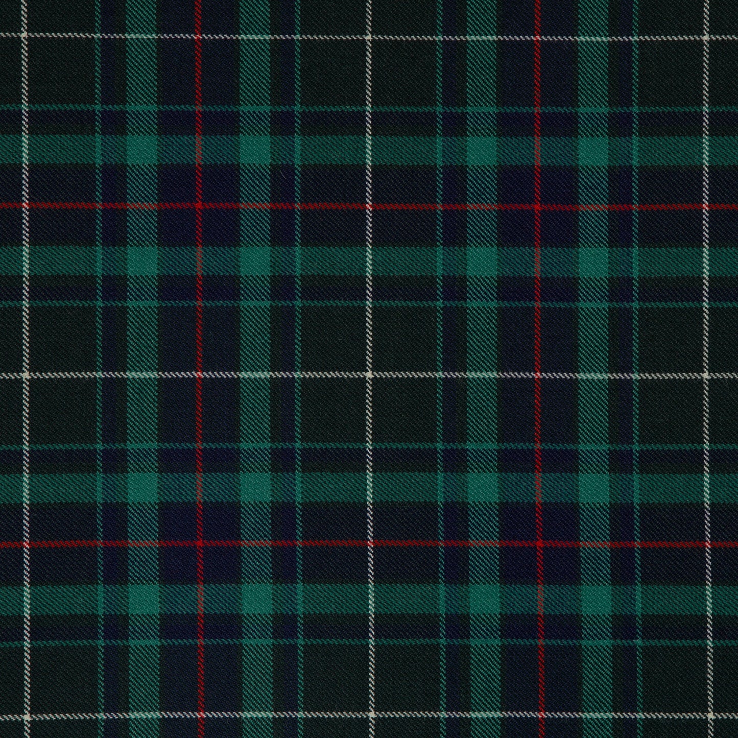 Fraser Gathering 'Hunting' Modern (House of Edgar)