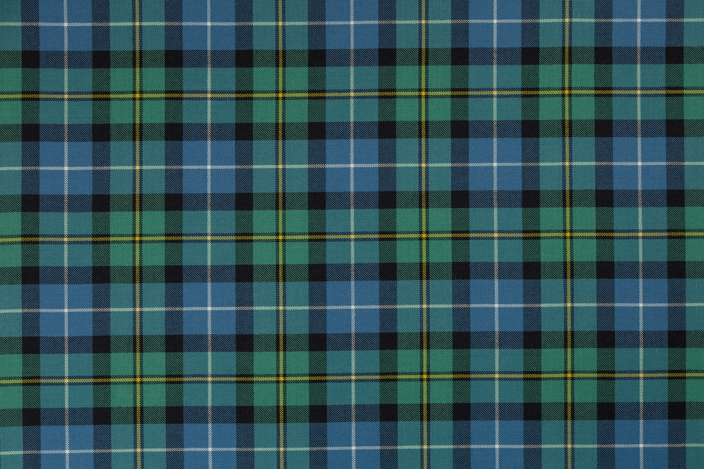 MacNeil of Barra Ancient (House of Edgar)