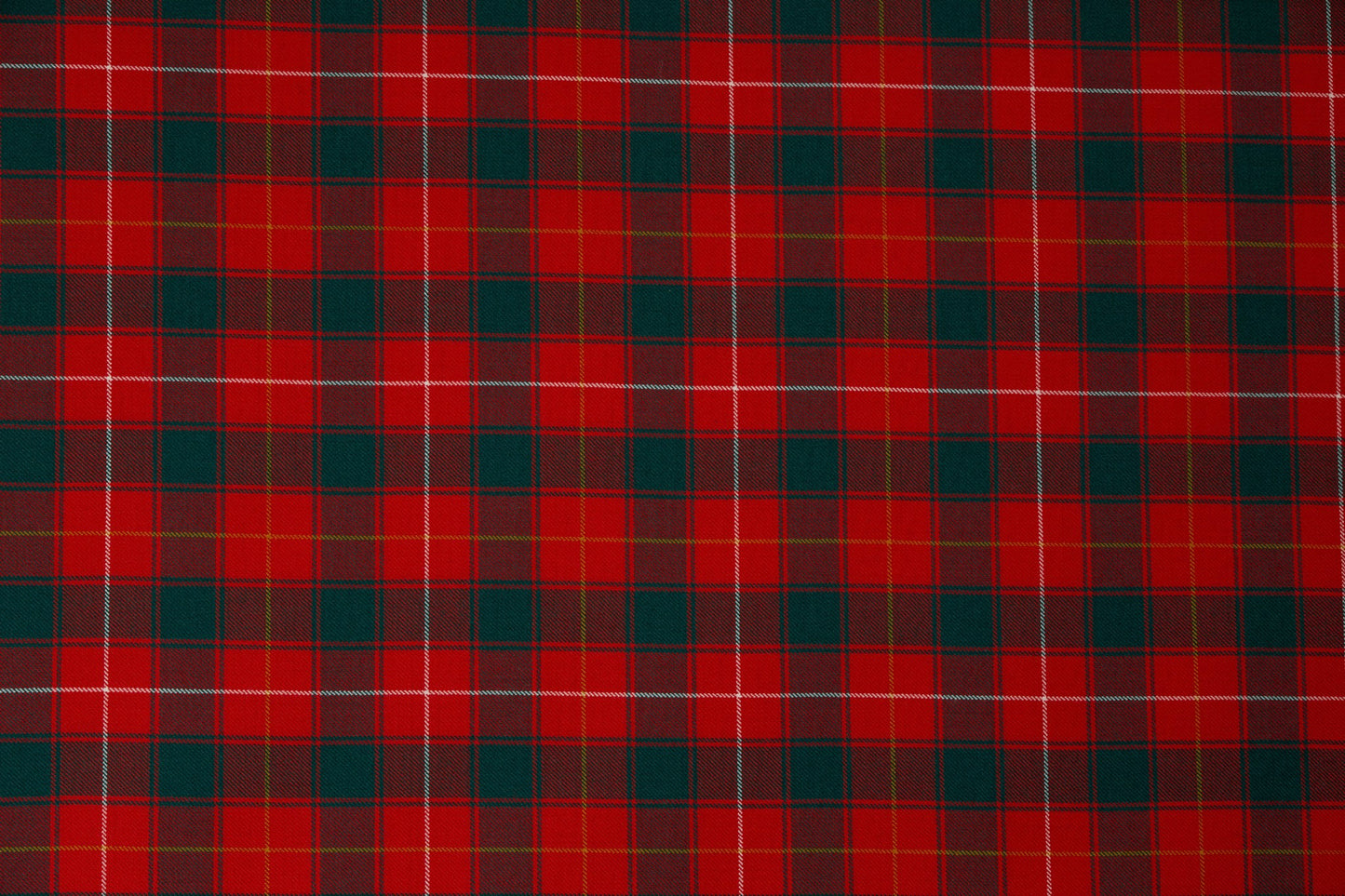 MacPhee Modern (House of Edgar)