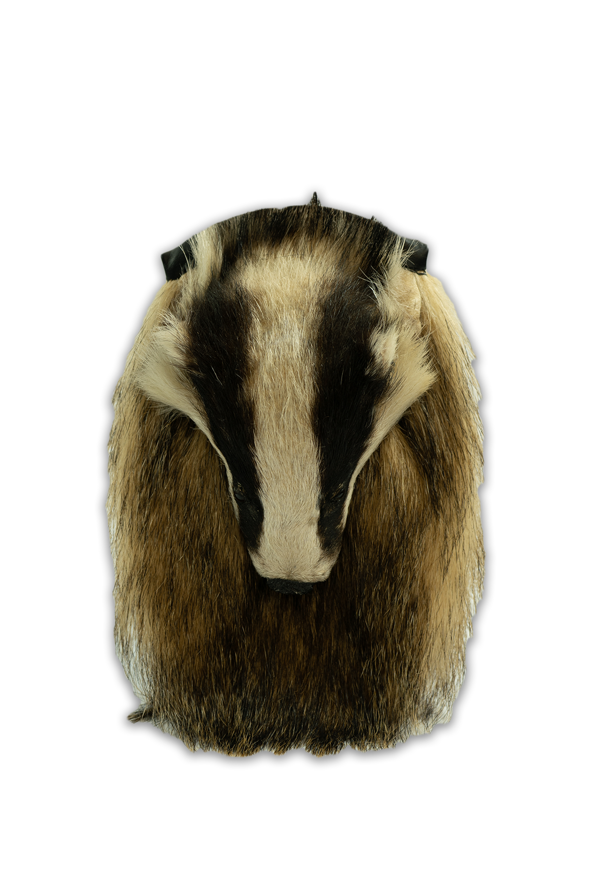 Mask sporran badger store traditional scottish kilt accessory