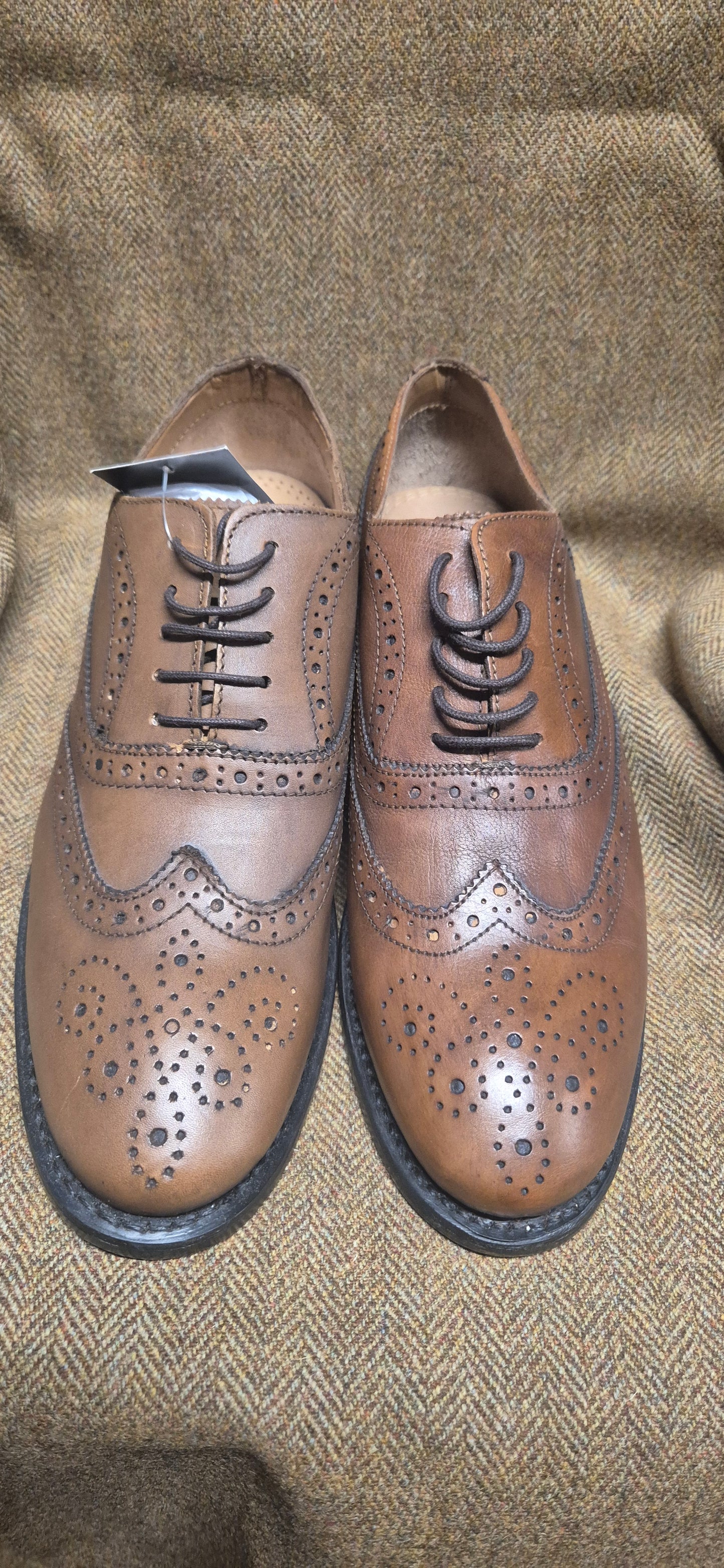 SALE Thistle Brogue (Camel)