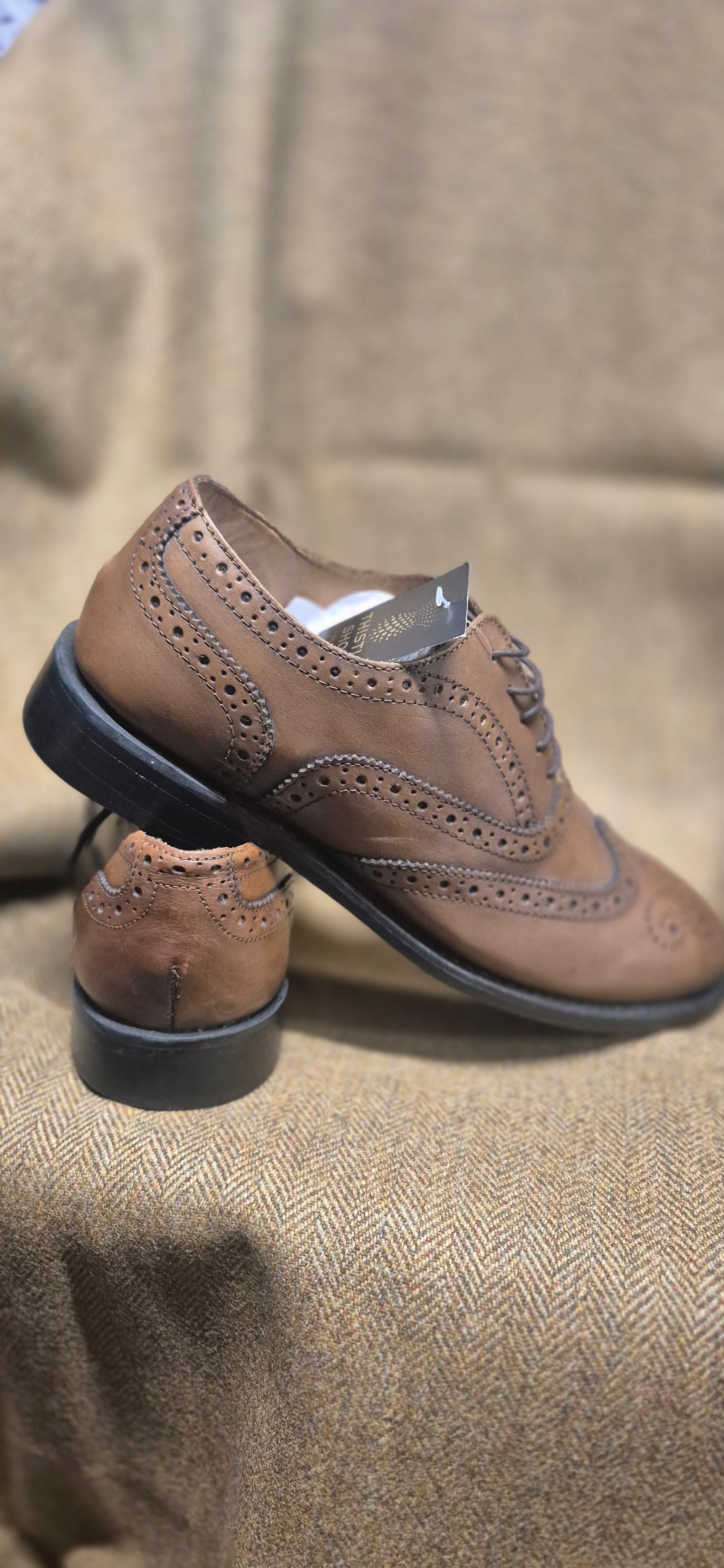 SALE Thistle Brogue (Camel)