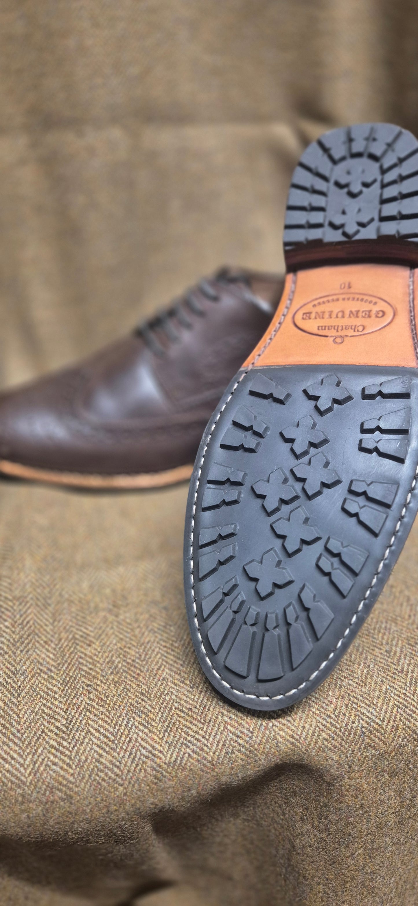 SALE Buckingham Brogue (Brown)