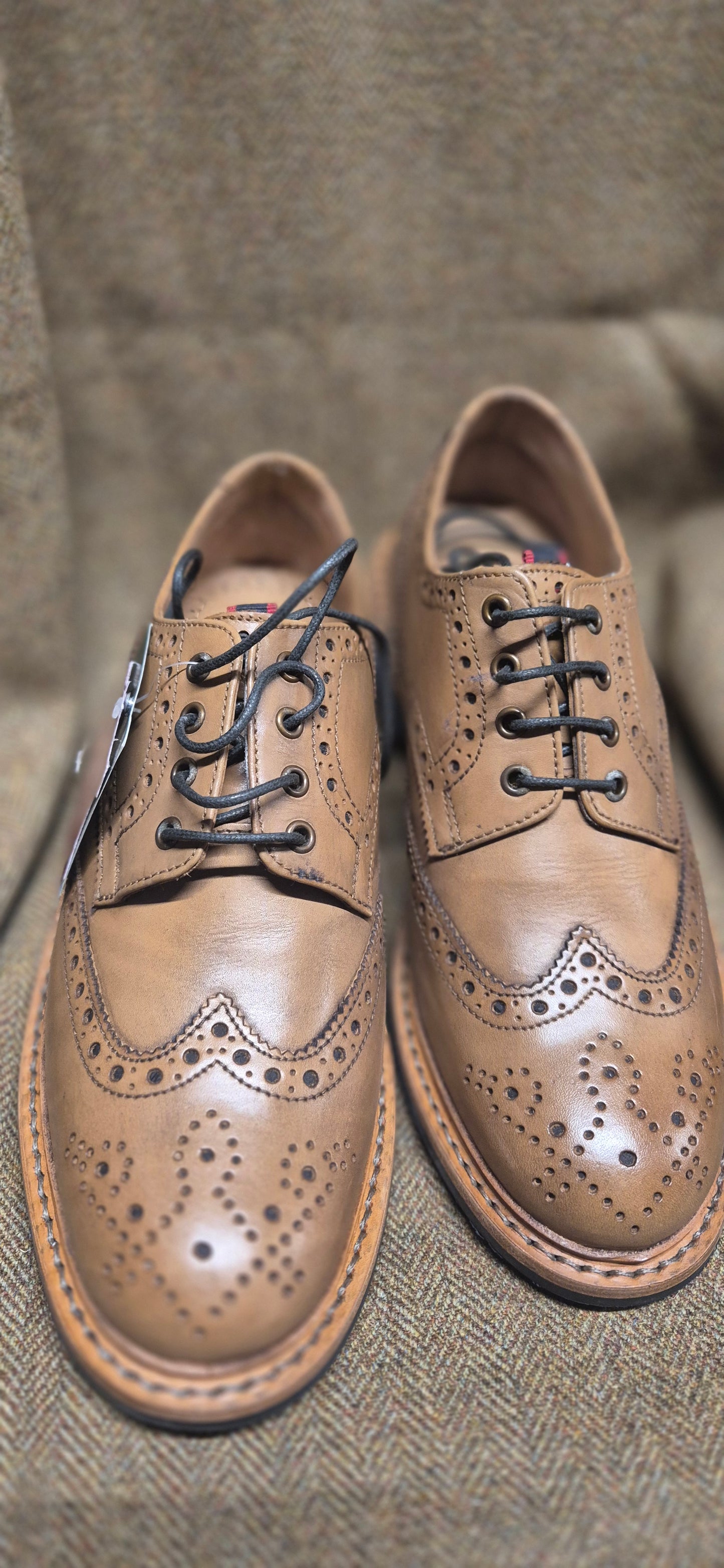 SALE Eaton Brogue (Tan)