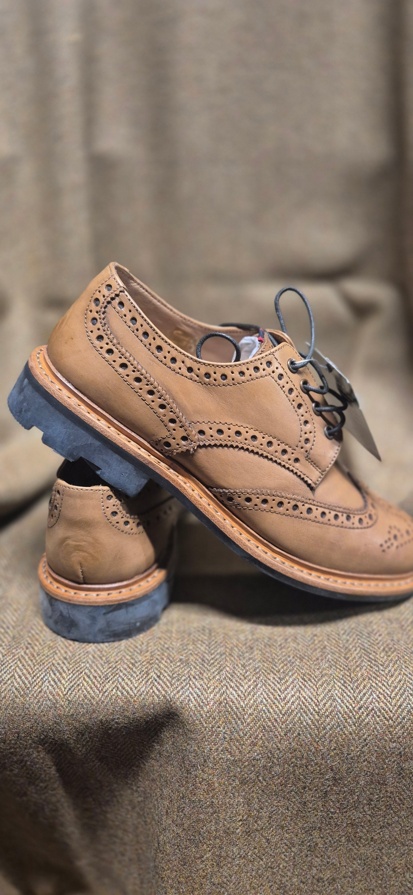 SALE Eaton Brogue (Tan)