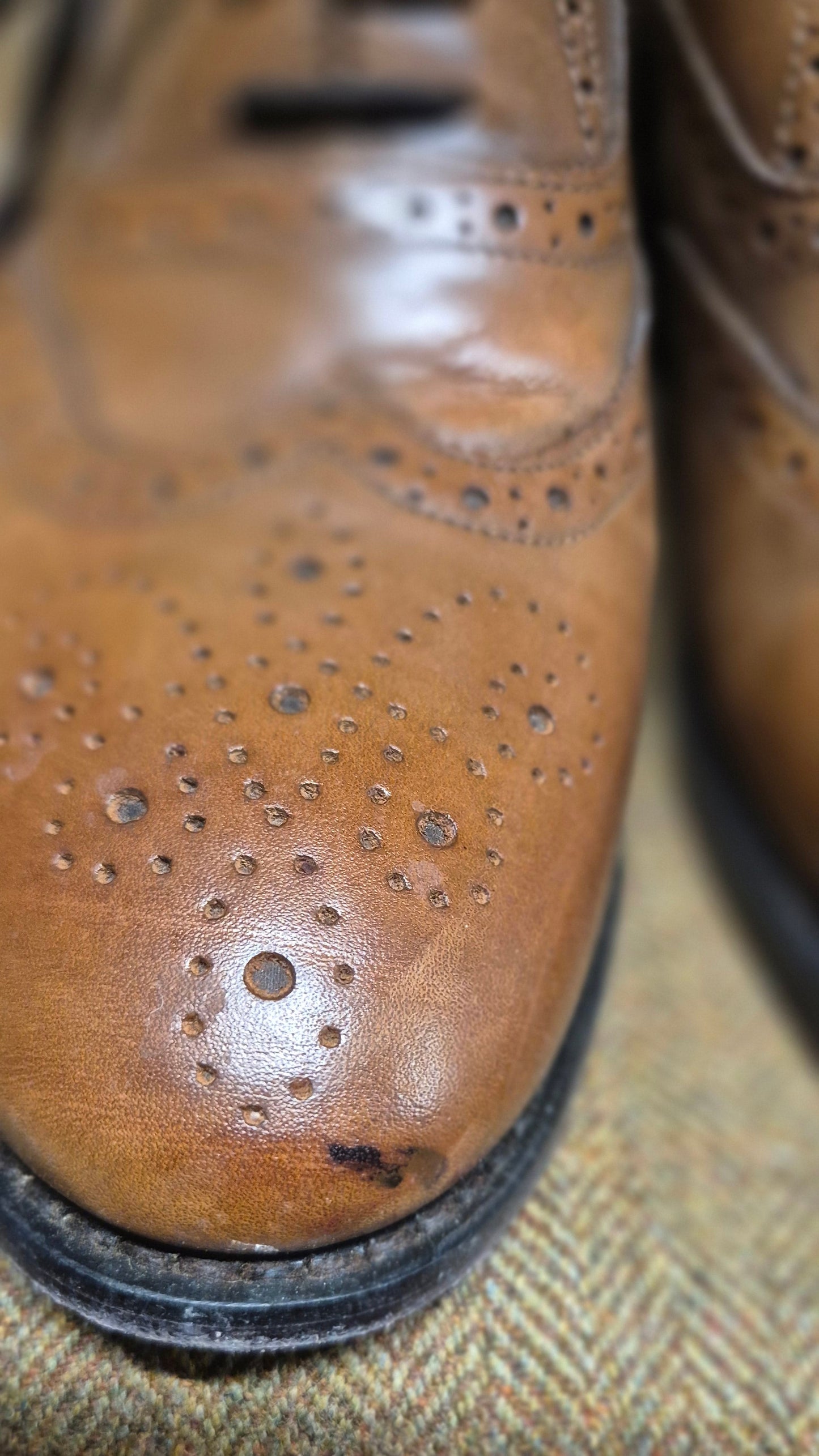 SALE EX-HIRE Thistle Brogue (Camel)-13 Wide