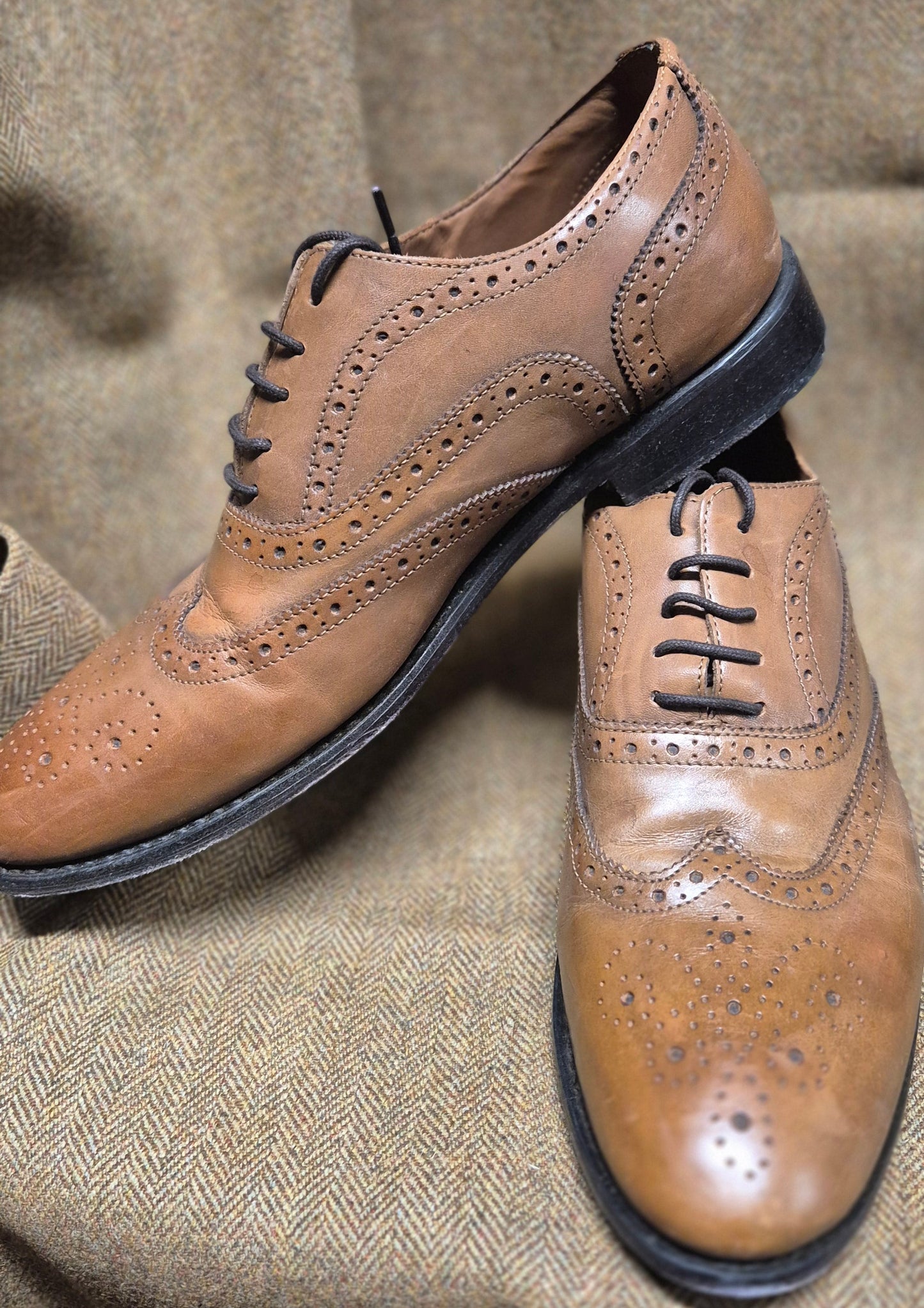 SALE EX-HIRE Thistle Brogue (Camel)-13 Wide