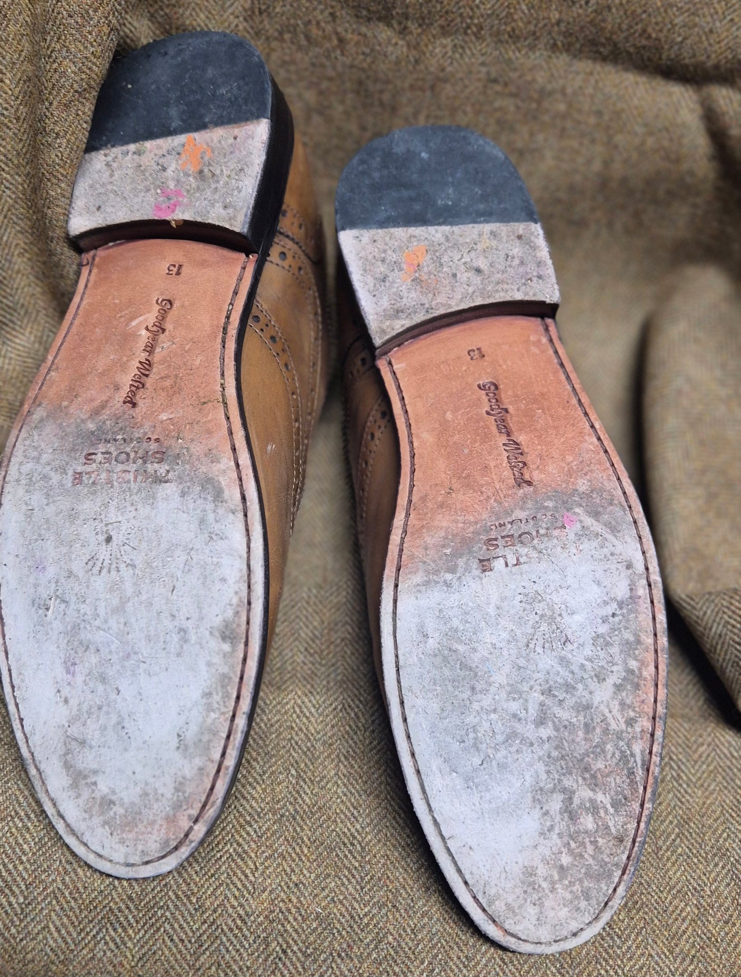 SALE EX-HIRE Thistle Brogue (Camel)-13 Wide