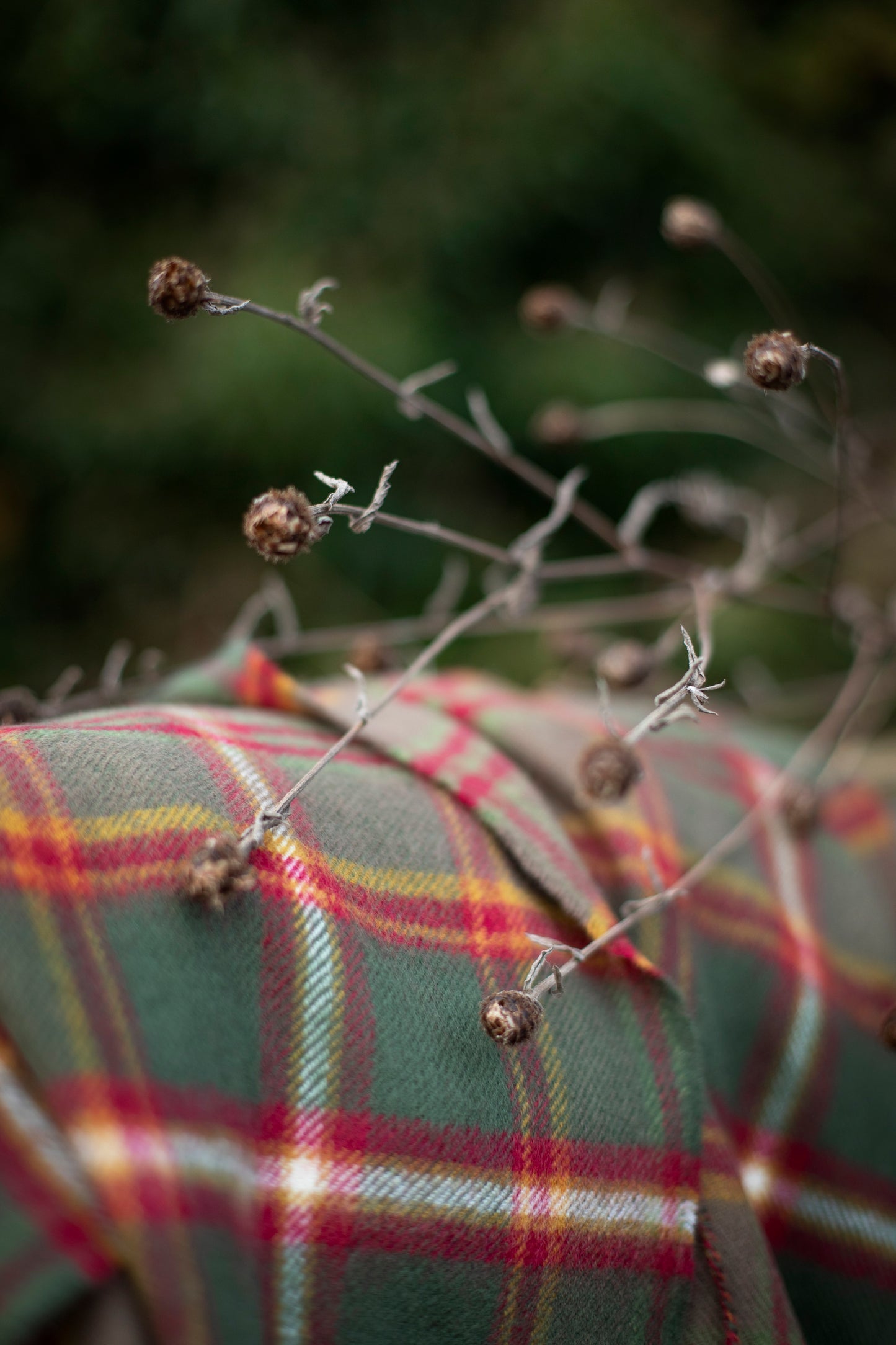 Flodden Tartan Lambswool Blanket