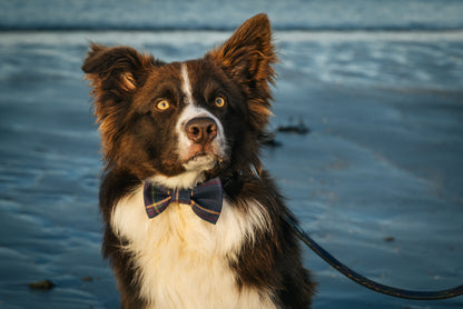 Tartan Dog Bow-Tie