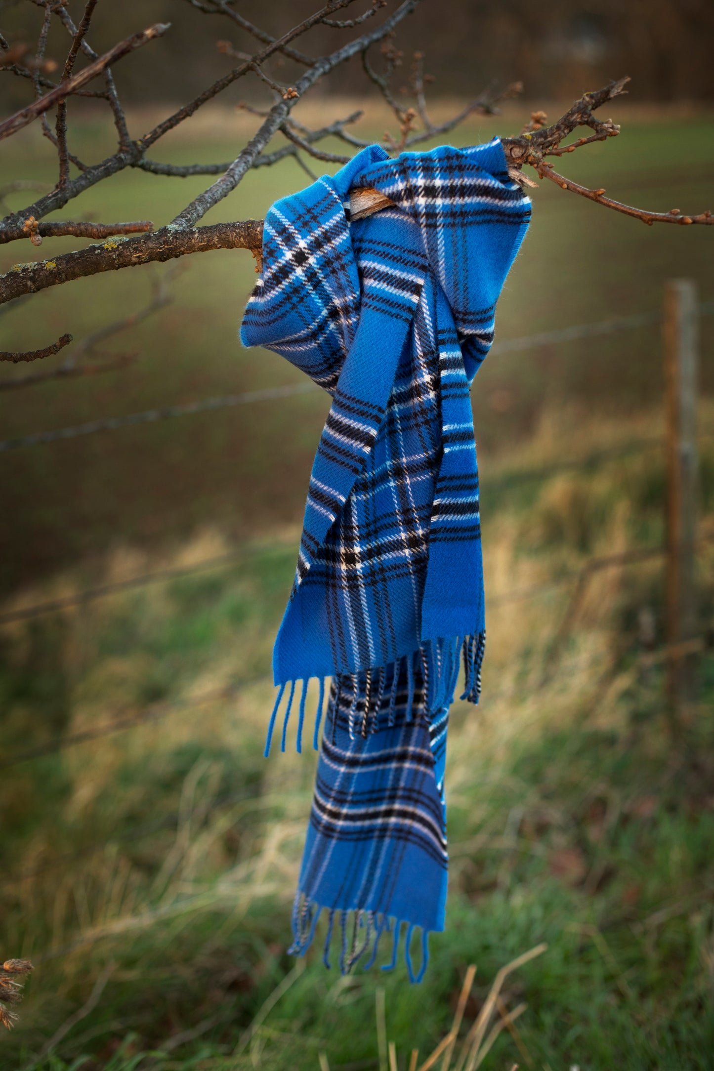 Bon Scott Heritage Tartan Lambswool Scarf