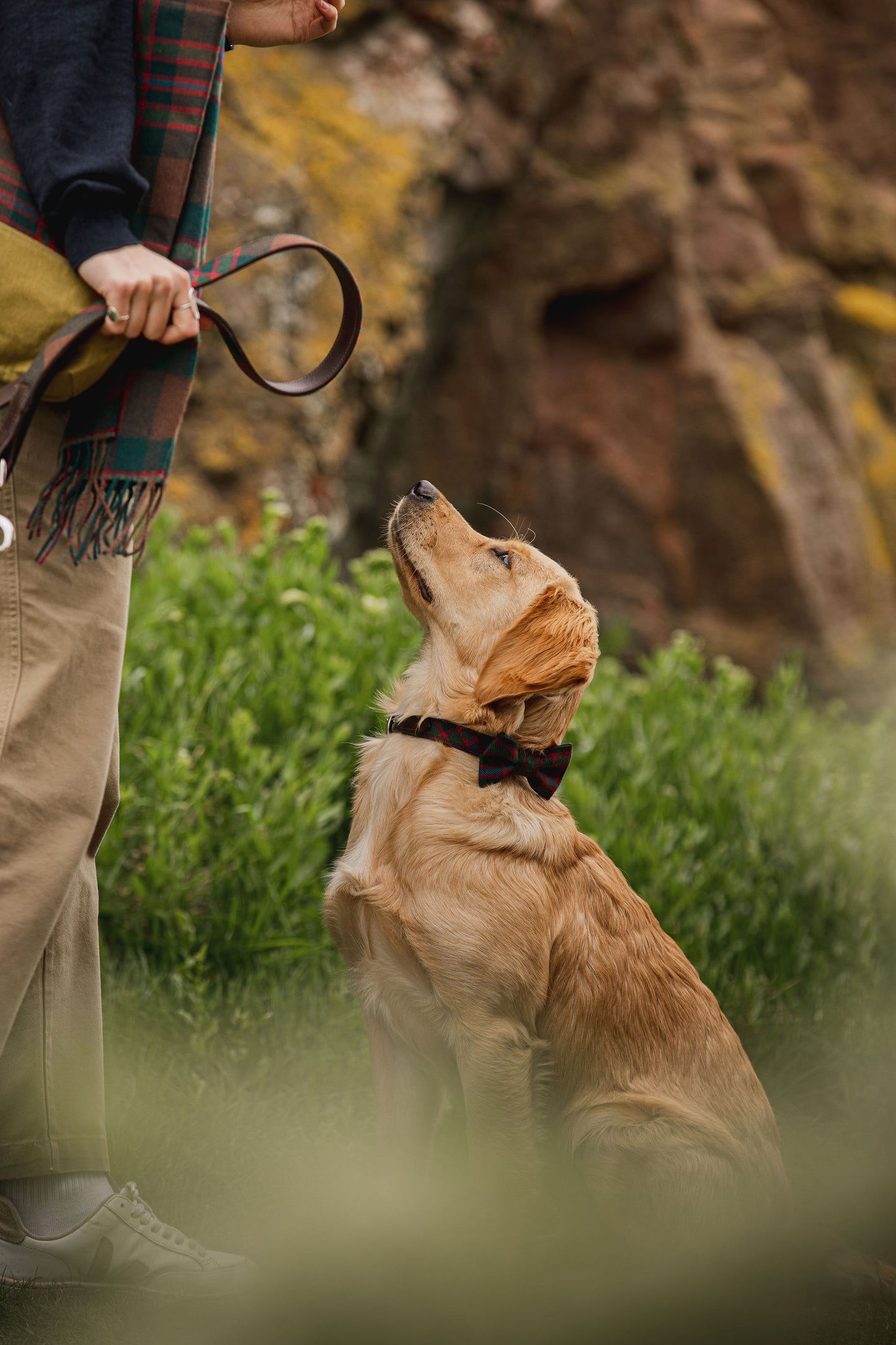 Tartan & Leather Dog Collars