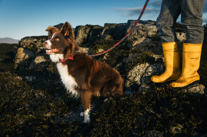 Tartan Dog Bow-Tie