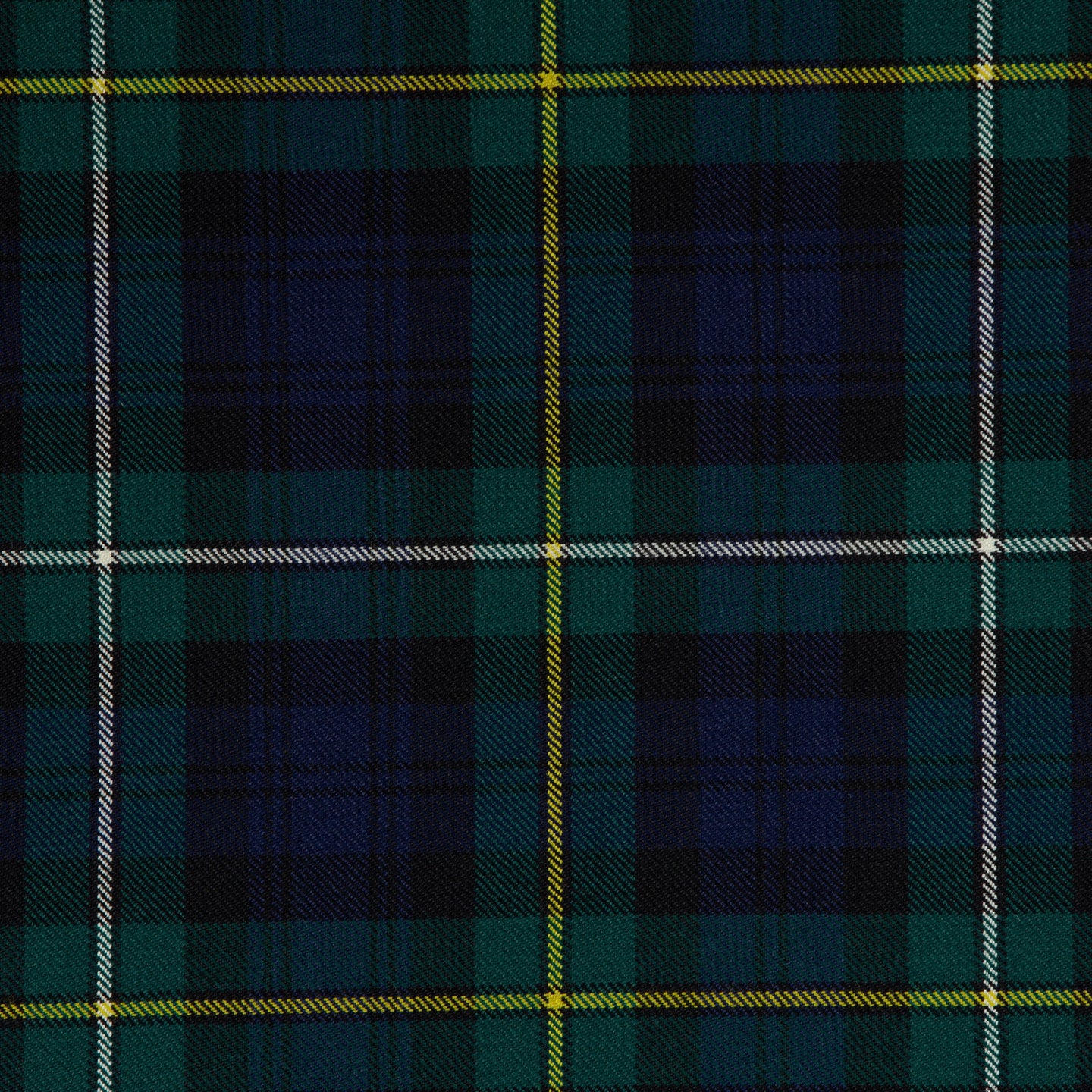 Campbell of Argyll Modern (House of Edgar)
