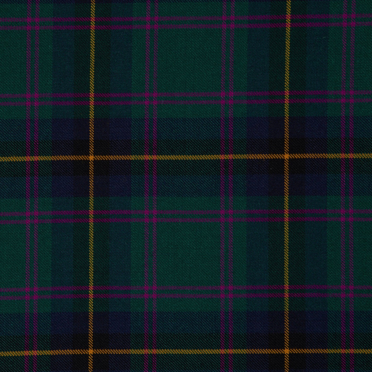 Carrick Hunting (House of Edgar)