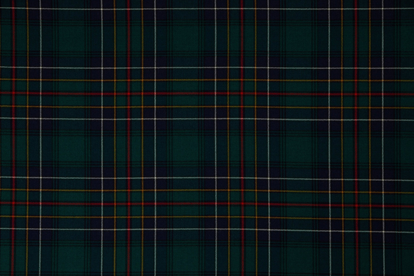 Cockburn Modern (House of Edgar)