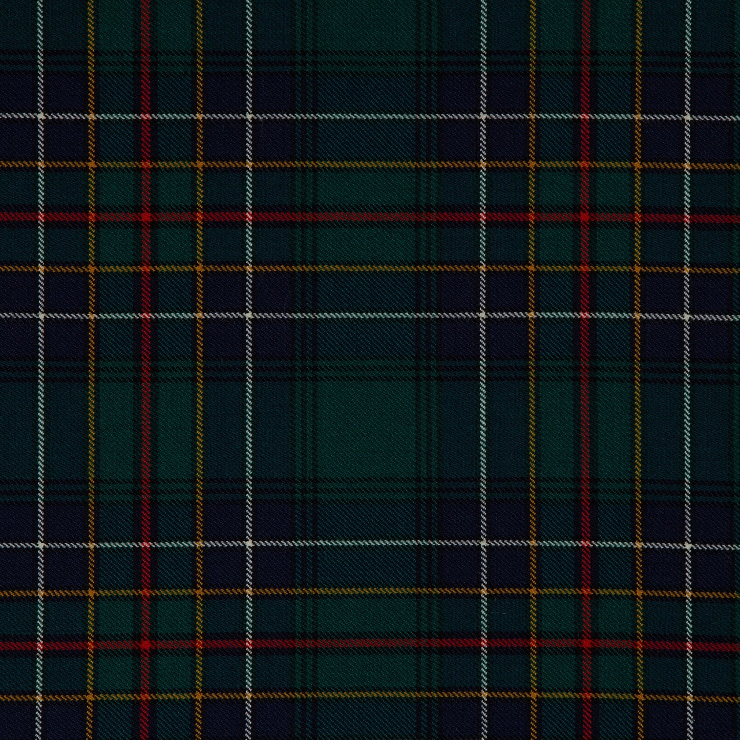Cockburn Modern (House of Edgar)