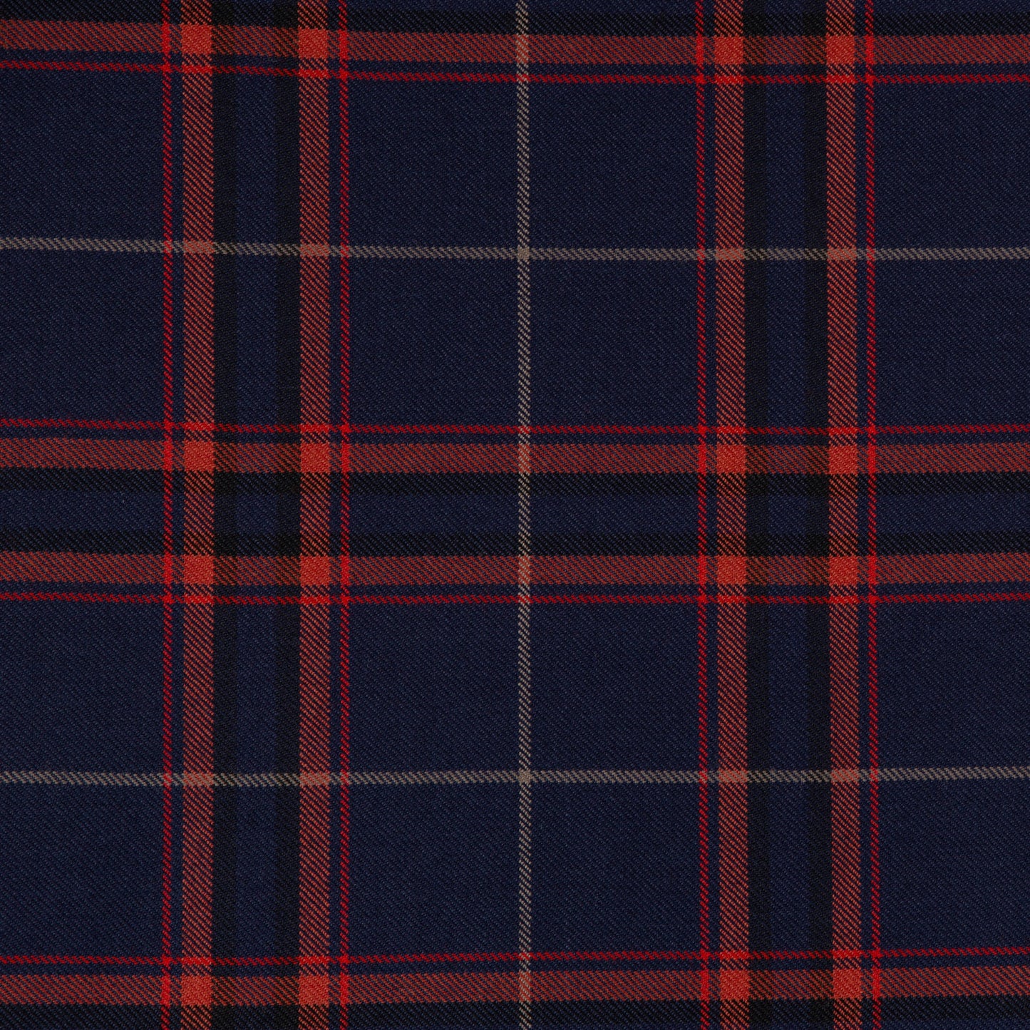 Gaelic Fire (House of Edgar)