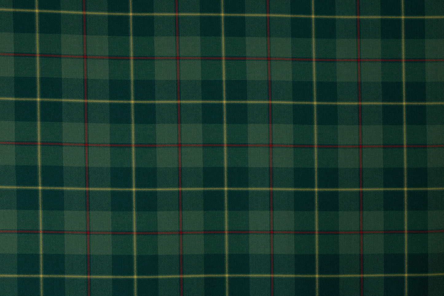 Galloway 'Green' Muted (House of Edgar)