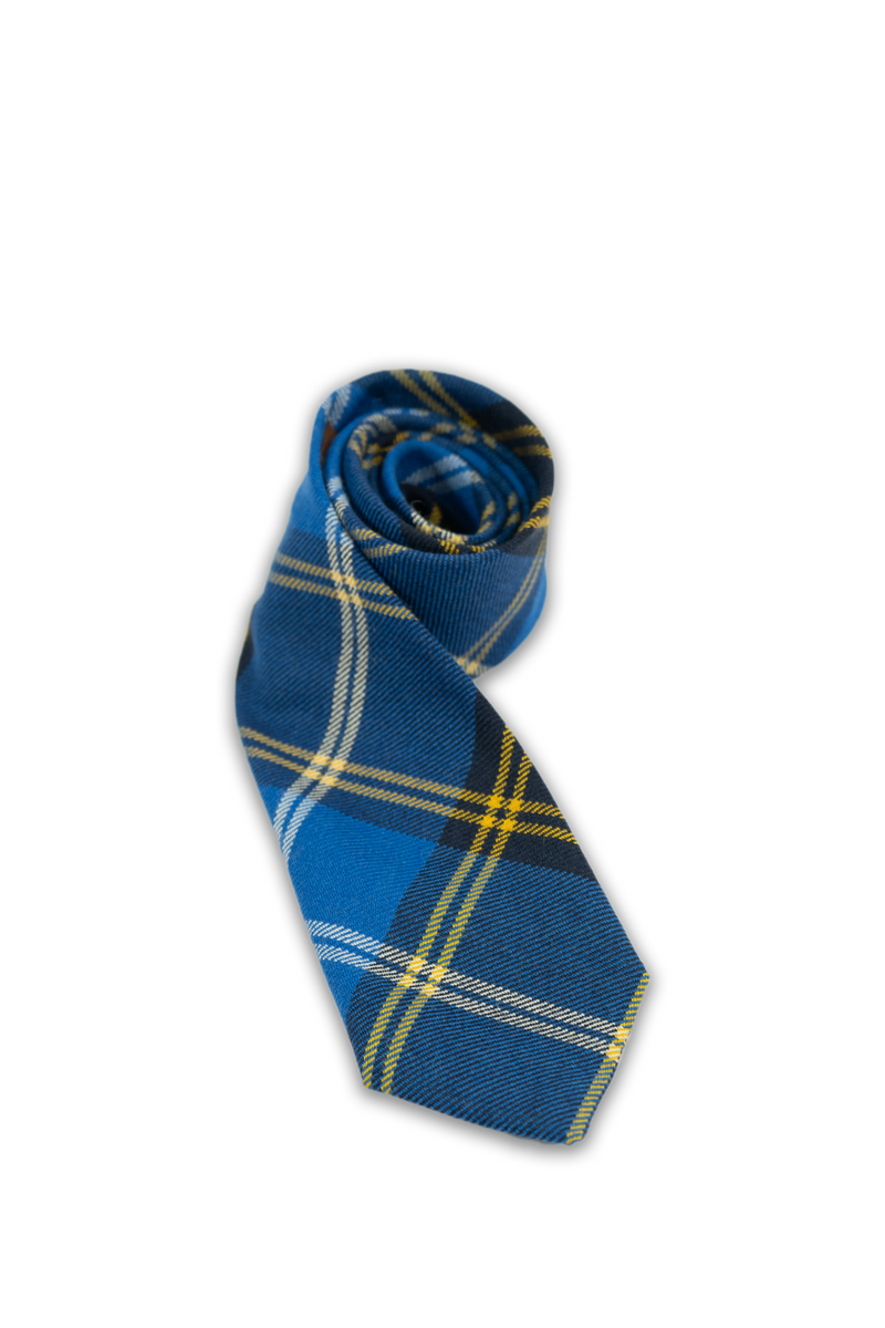 Kidney Kids Tie – GNKilts