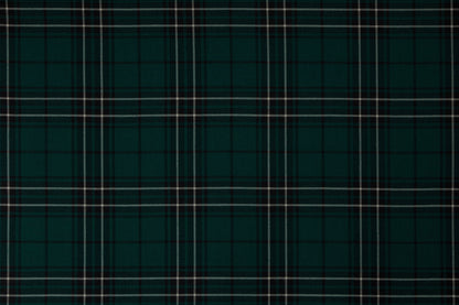 MacLean of Duart 'Hunting' Modern (House of Edgar)