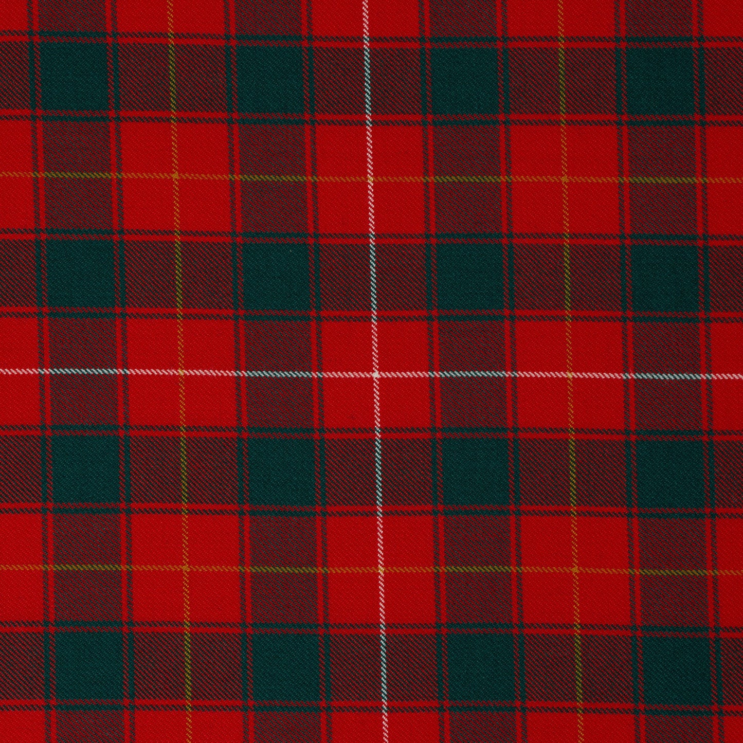 MacPhee Modern (House of Edgar)