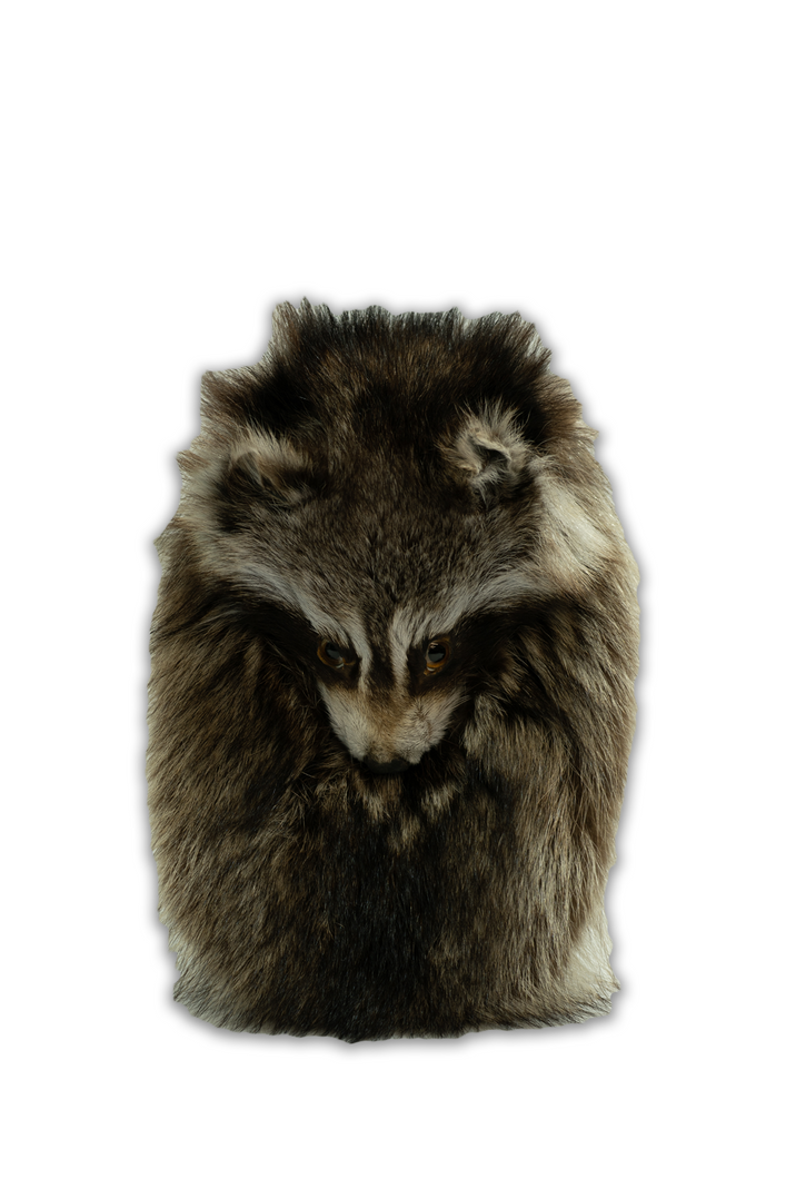 Raccoon Mask Sporran