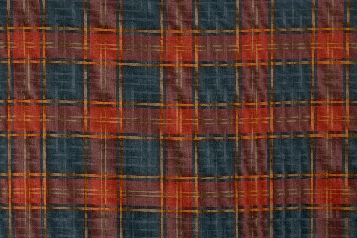 County Roscommon (House of Edgar)