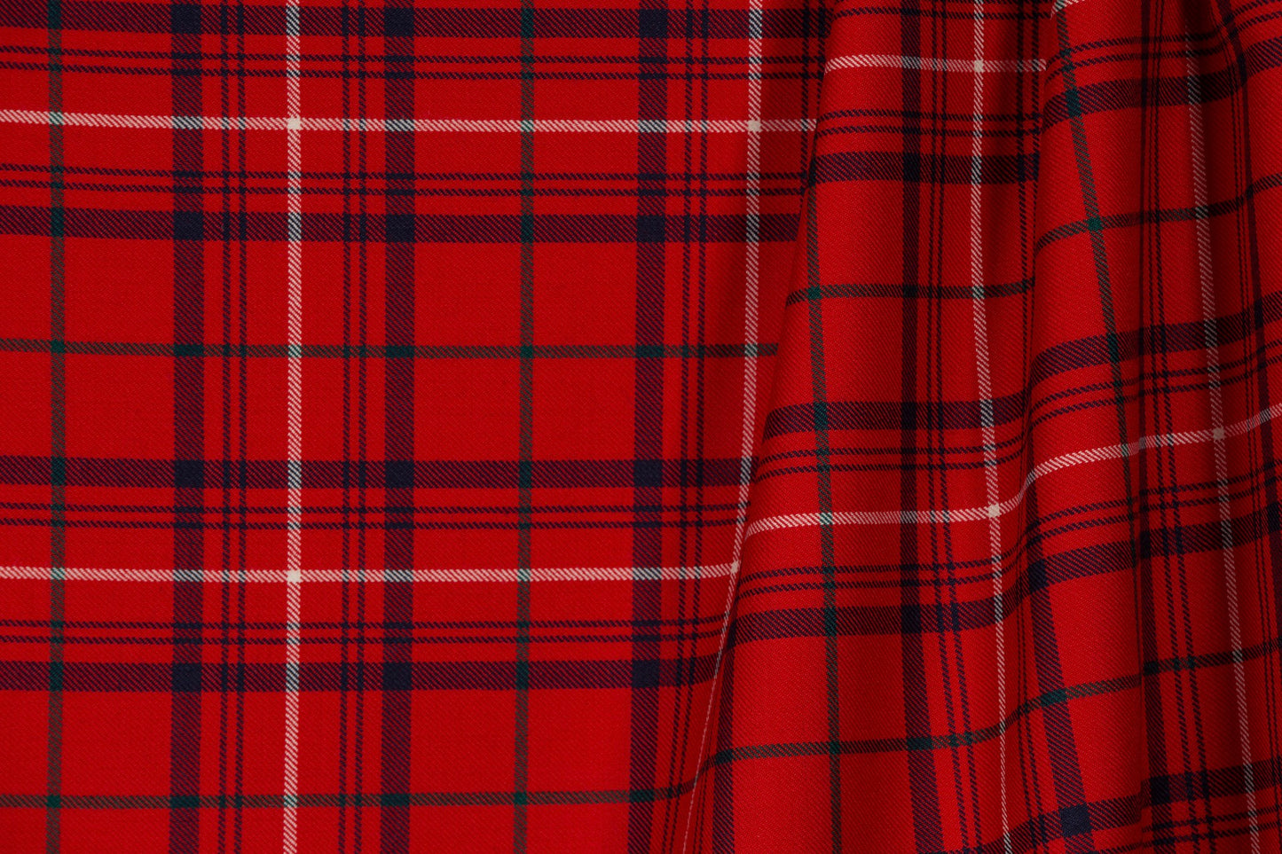 Rose 'Red' Modern (House of Edgar)