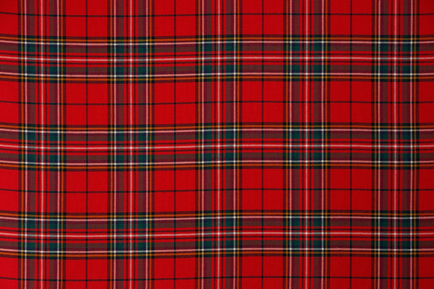 Stewart of Galloway Modern (House of Edgar)