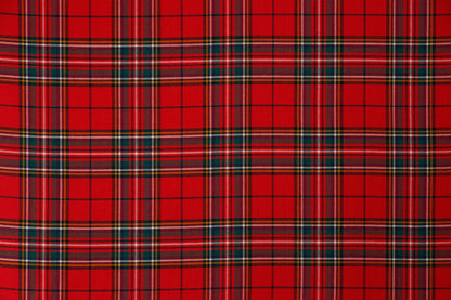 Stewart of Galloway Modern (House of Edgar)